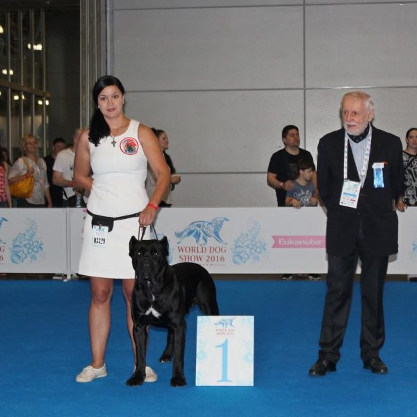 13559182_1207741932625147_3979697827058405598_o