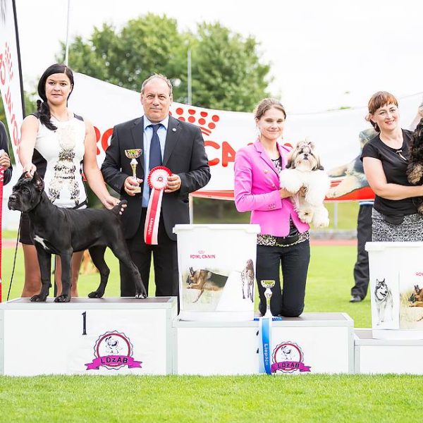 13906772_520651804790065_100242995287818830_n