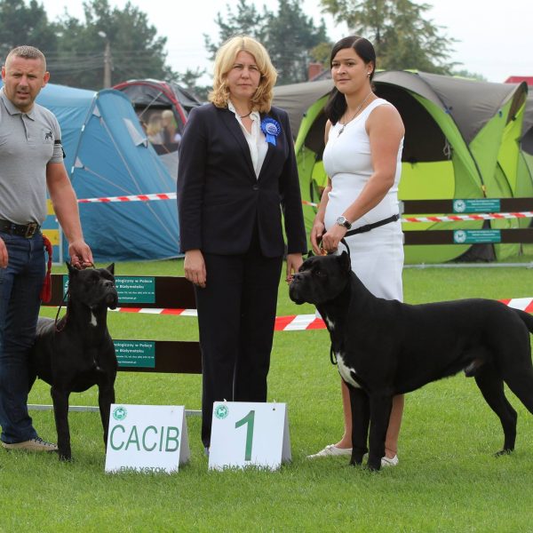 14249835_1003045546478967_2941595422357471674_o