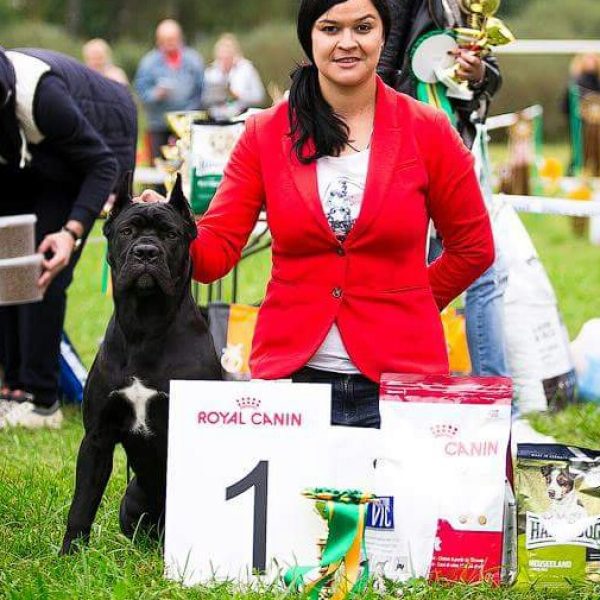 14441002_1098421940206597_97742319097101941_n