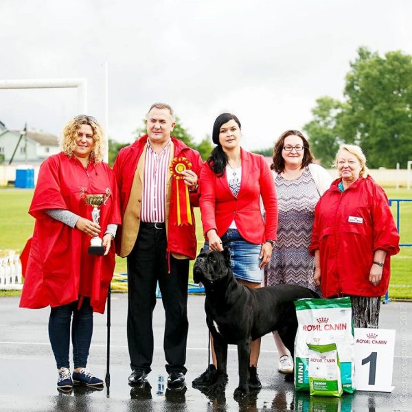 19441985_1582940471771956_1749277672412873915_o