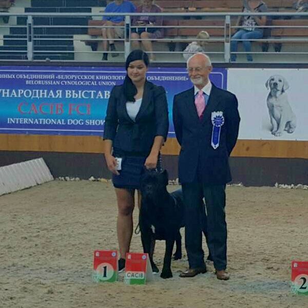 21231829_1654169041315765_2676397668302105225_n