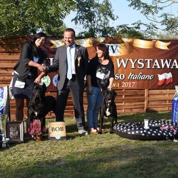 21558540_1660263424039660_861375570852297603_n