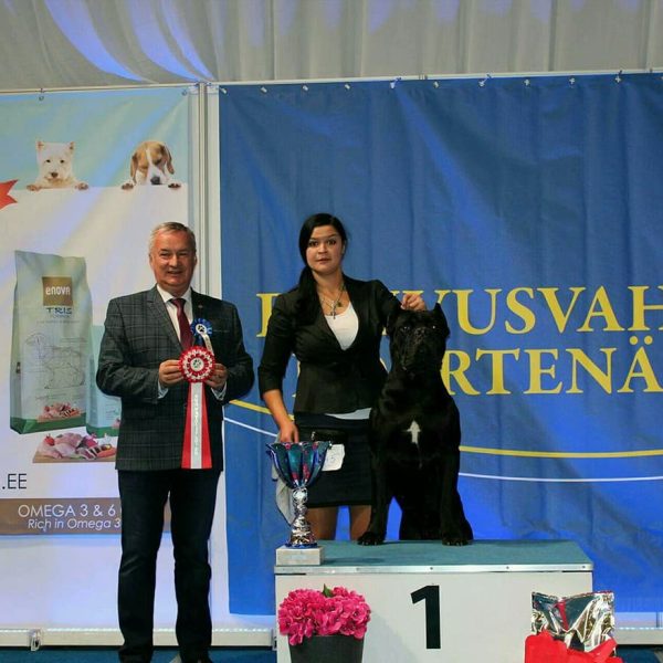 23167968_1714586548607347_3357022111152863342_n