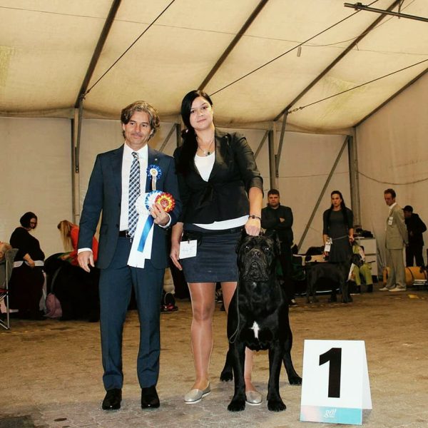 23244565_1714586488607353_1543384803989574076_n