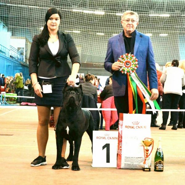 23755680_1731249846941017_8512617248661436774_n