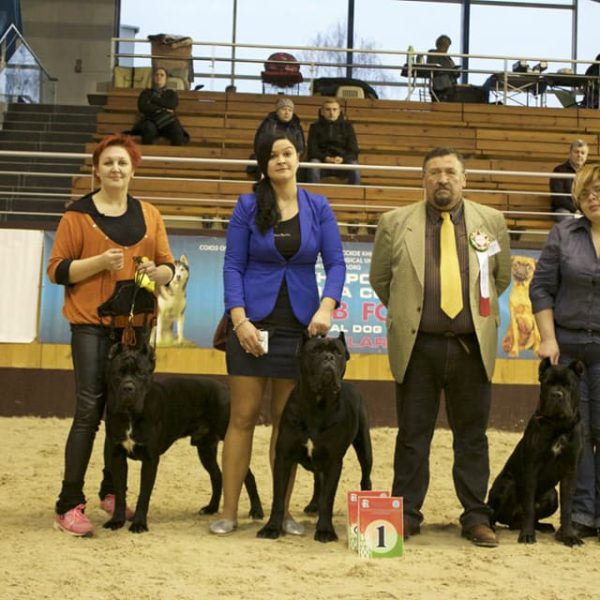 24059271_1736058063126862_6675094003030504466_n