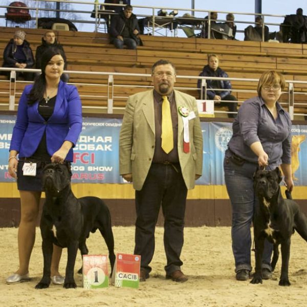 24129871_1736058163126852_3483557616954867696_n