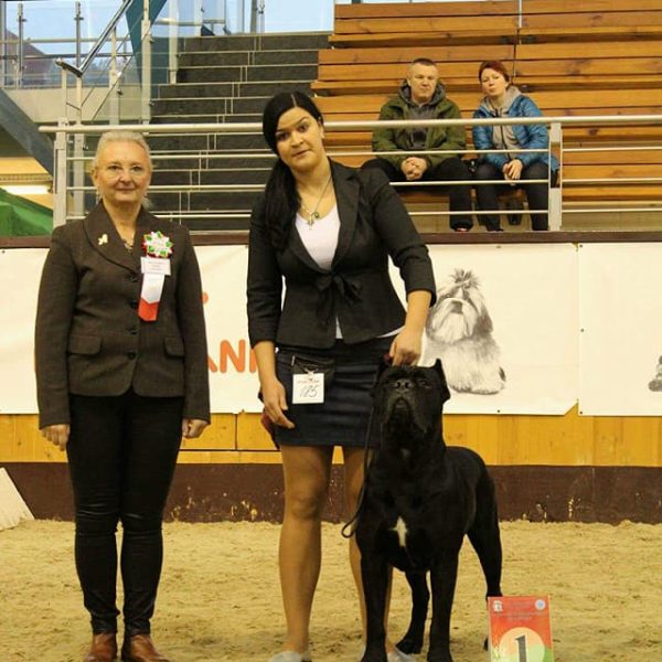 24129981_1736059103126758_7243101606225483860_n