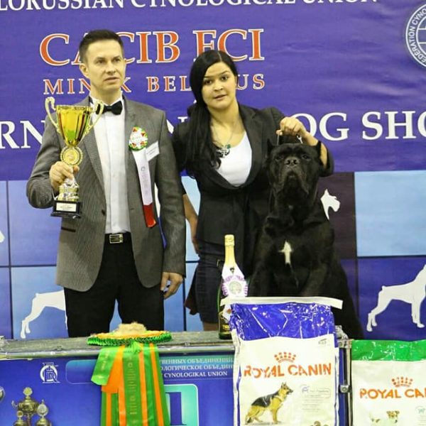 24174628_1736058243126844_6748457083324274435_n