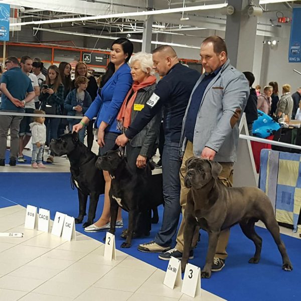 30415500_1880720538660613_426930198047092166_n