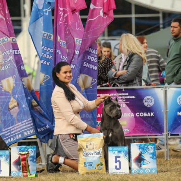 305400287_5823931454339482_3146477186178453118_n