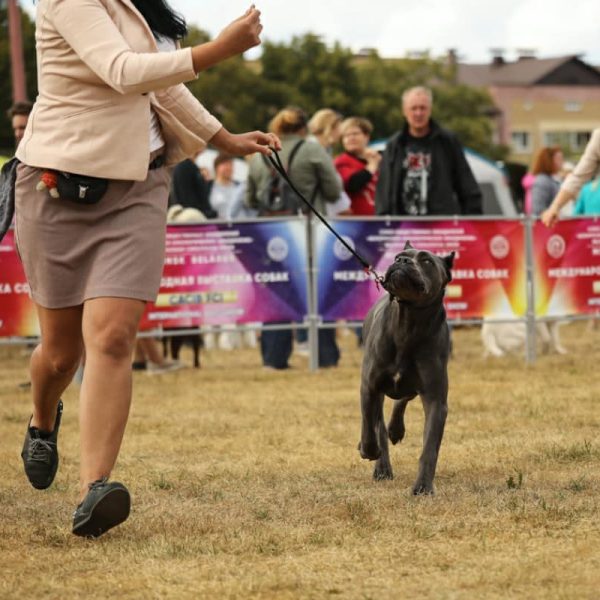 305561020_5823931771006117_1546573784599010601_n