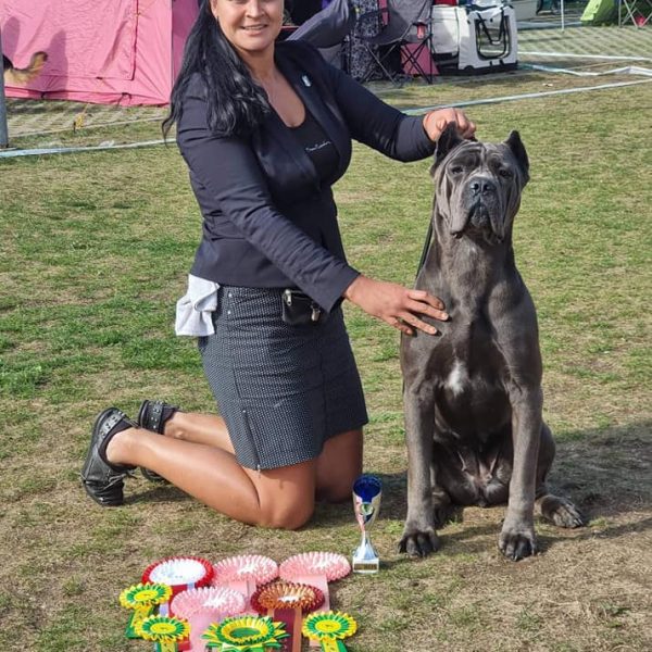 307671985_5871008076298486_1758368514571395910_n