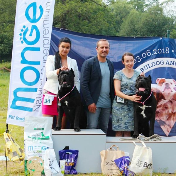 34723602_1942706619128671_6981647091164512256_n