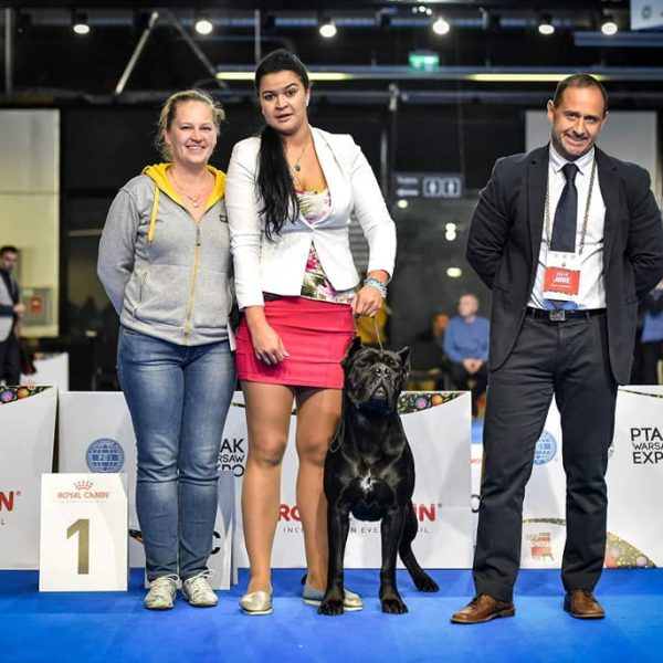 44298338_2136075623125102_7855990656106233856_n