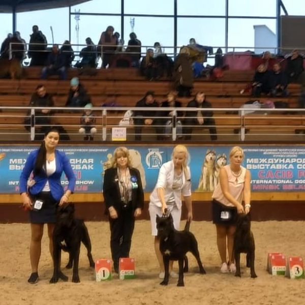 46845393_2197317637000900_581562361702252544_n