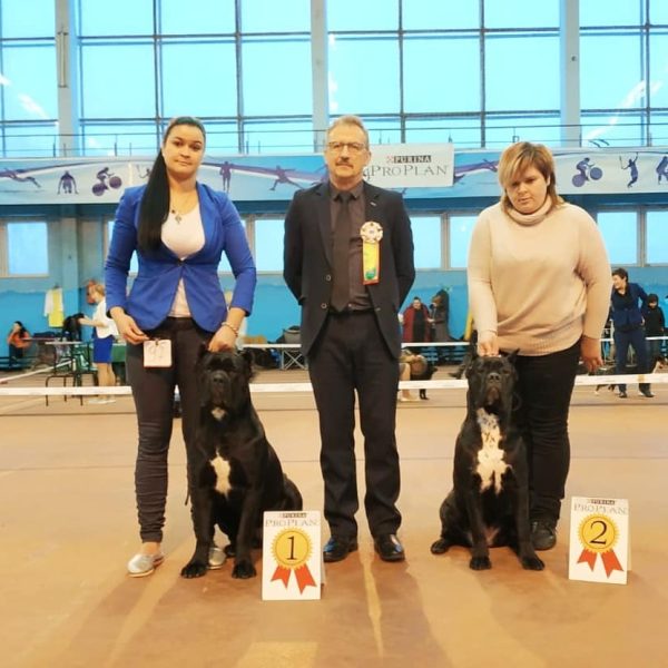 47579238_2217046361694694_6757473132870631424_n