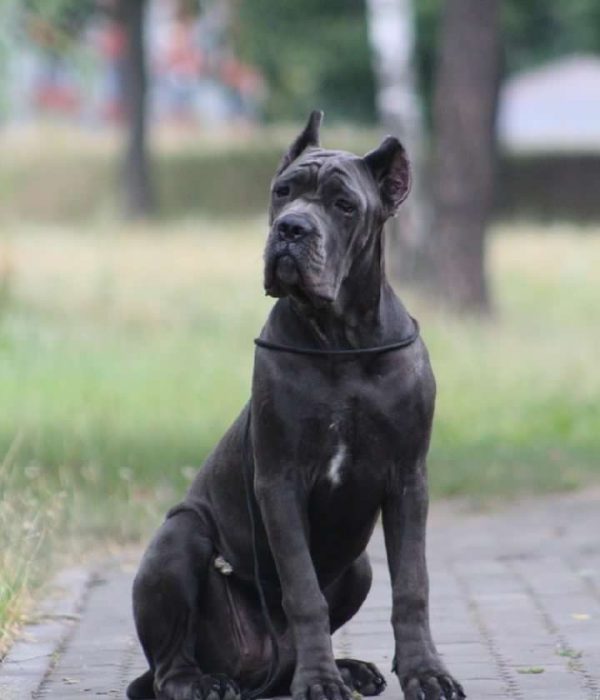 изображение_viber_2023-03-22_13-13-08-664