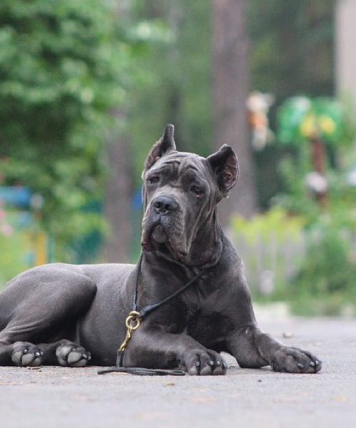 изображение_viber_2023-03-22_13-13-09-309