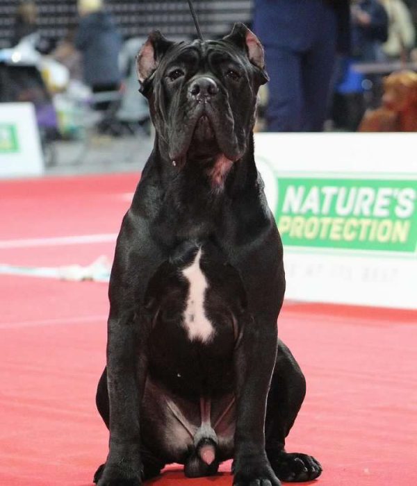 изображение_viber_2023-03-22_13-14-35-716