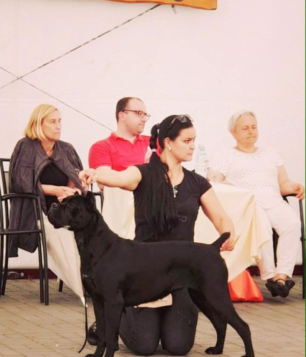 изображение_viber_2023-03-22_13-15-04-019