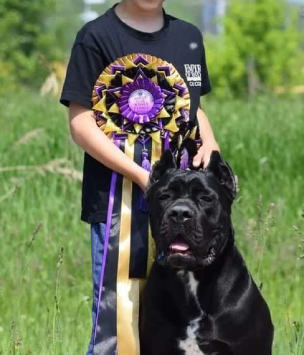 изображение_viber_2023-03-22_13-17-54-145