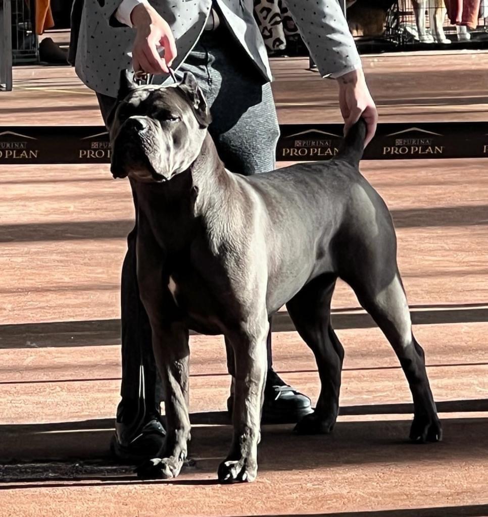 изображение_viber_2023-03-16_10-09-40-870